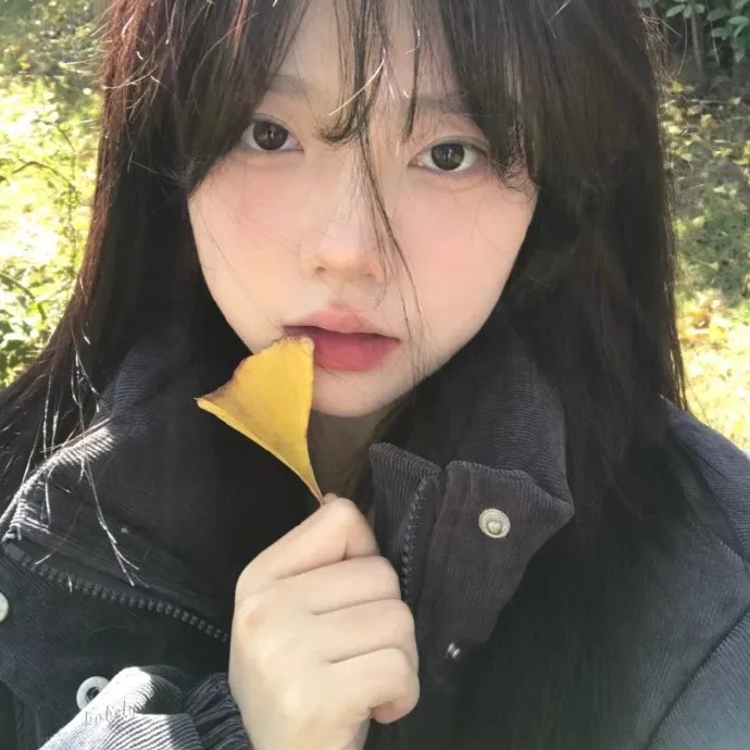和你一起飞