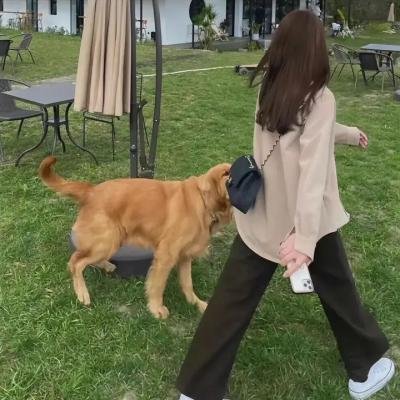 黄金七令之罗刹风云